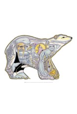 Polar Bear by Sue Coccia Canvas