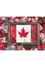 10x14 Canadian Flag Walnut Frame - 101402W