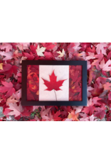 10x14 Canadian Flag Black Frame - 101402B