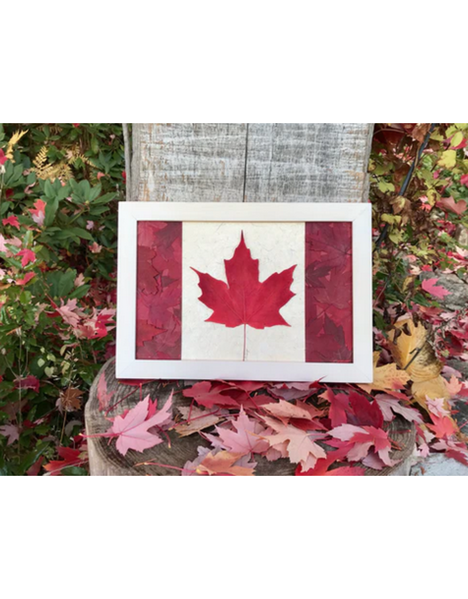 10x14 Canadian Flag White Linen Frame - 101402WL