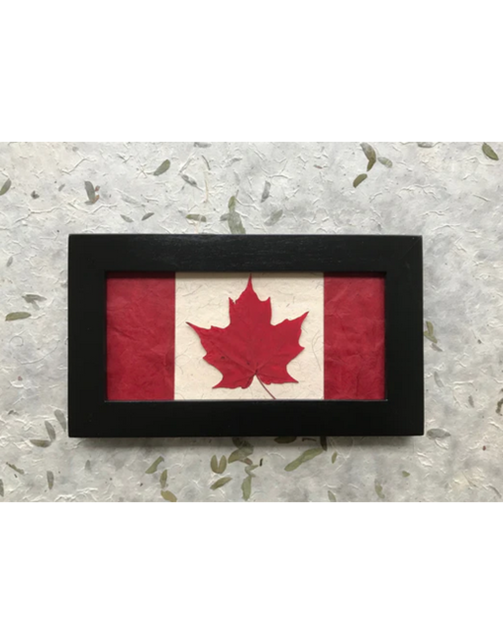 6x10 Canadian Maple Leaf Flag Black Frame - 61001B