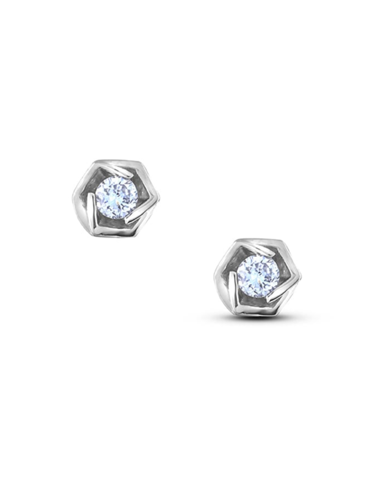 Rose Earrings Silver - PLDE08