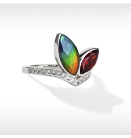 Ammolite (Korite) - La Boutique Boréale