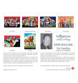 Fur Families by John Balloue 12 Card Box