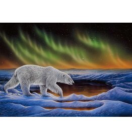 Polar Night par Ronnie Simon Montée sur Passe-Partout