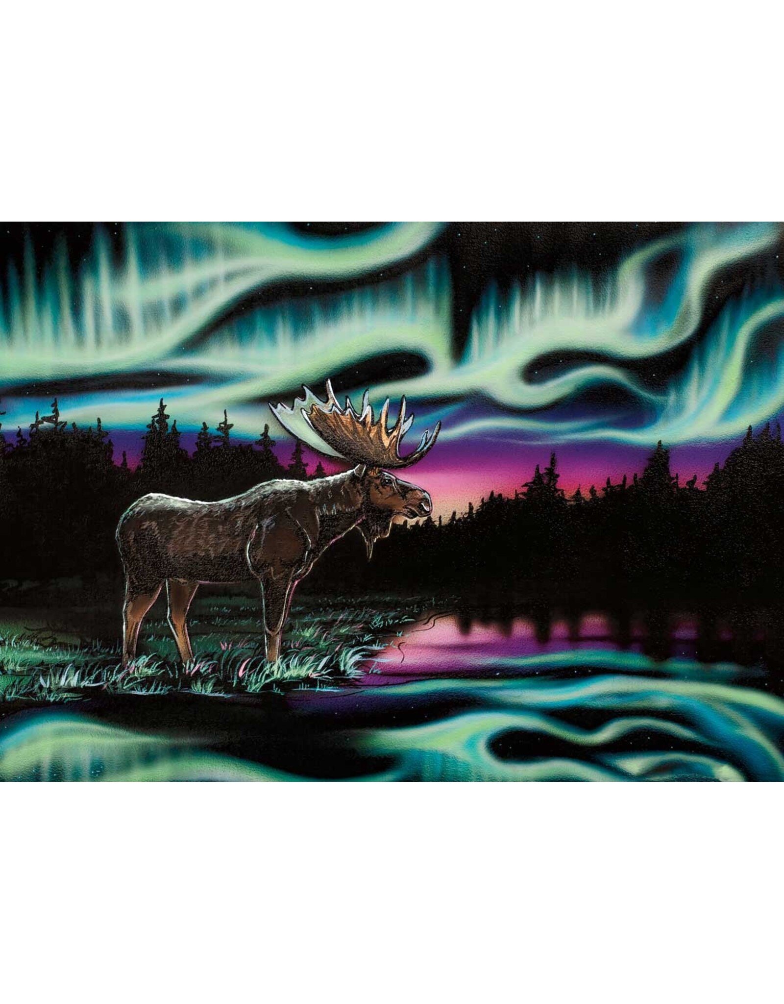 Sky Dance King of the North by Amy Keller-Rempp Matted