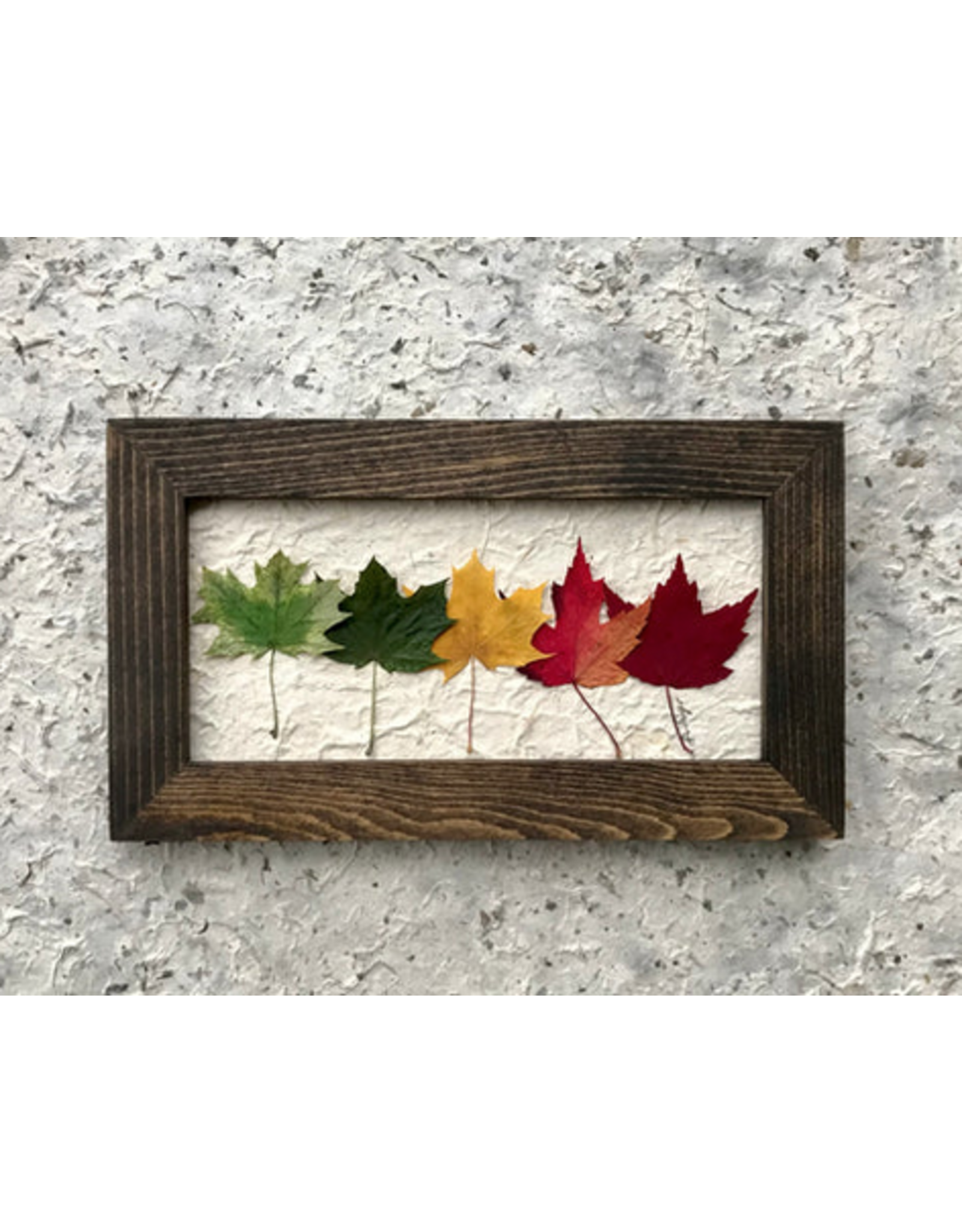 6x10 Mini Rainbow Walnut Frame - 61004W