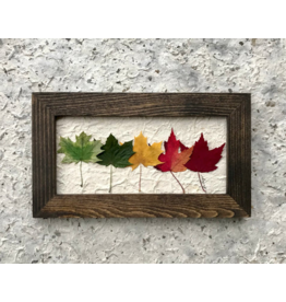 6x10 Petit Cadre Arc-en-Ciel Brun