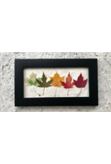 6x10 Mini Rainbow Black Frame - 61004B