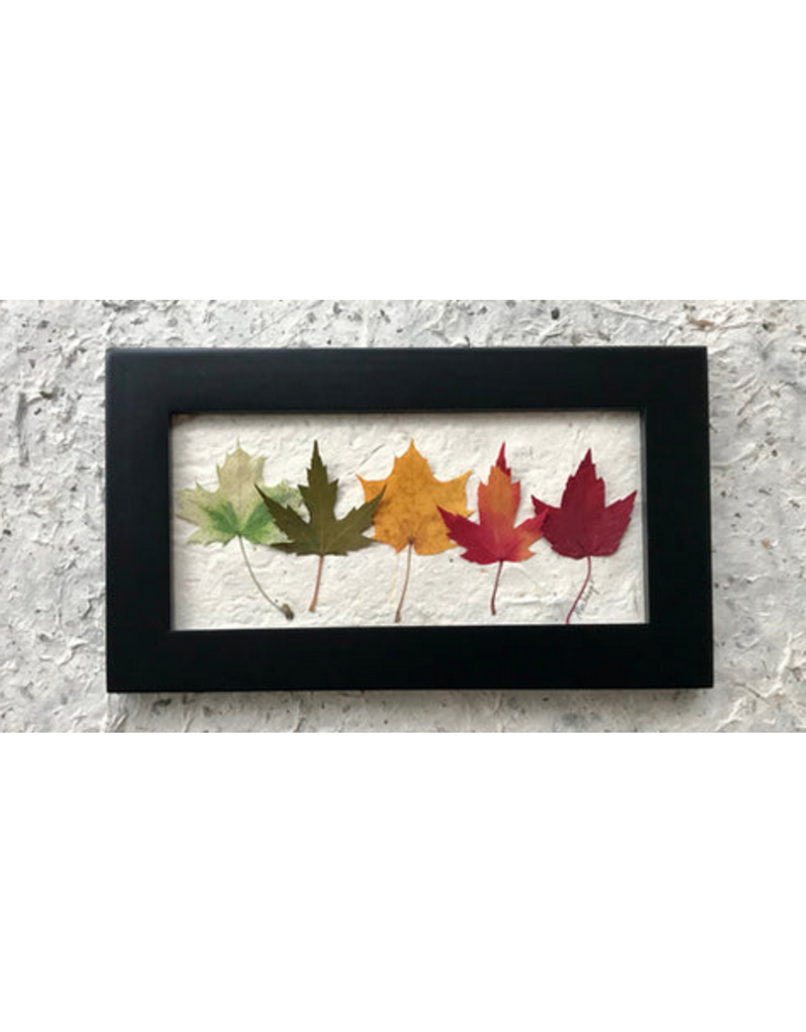 6x10 Mini Rainbow Black Frame - 61004B