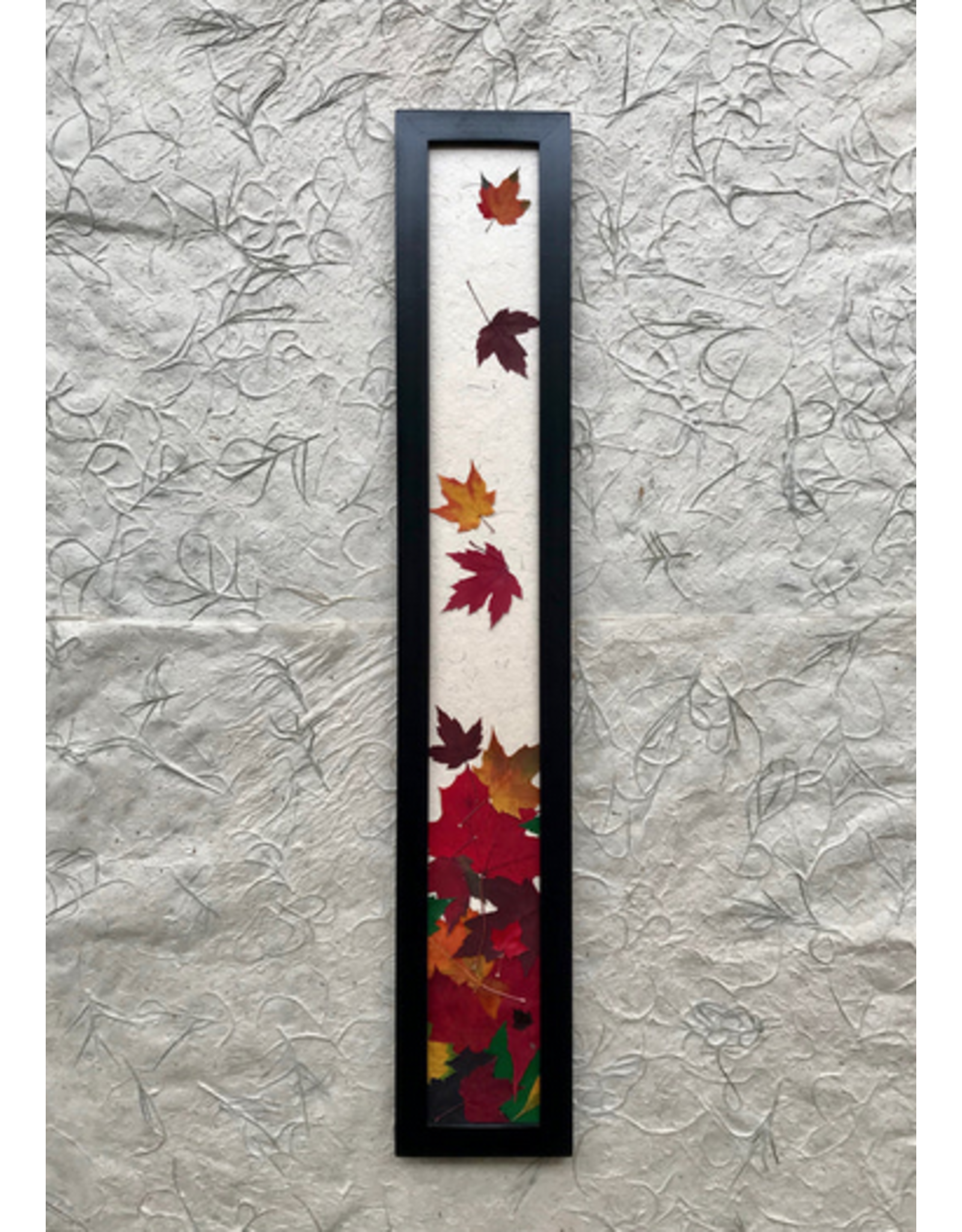 53101B 5x31 Feuilles d'Érables Mince  Mélanger - Cadre Noir
