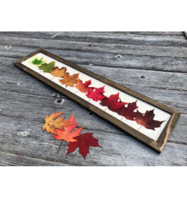 Rainbow Maple Leaves - Walnut Frame