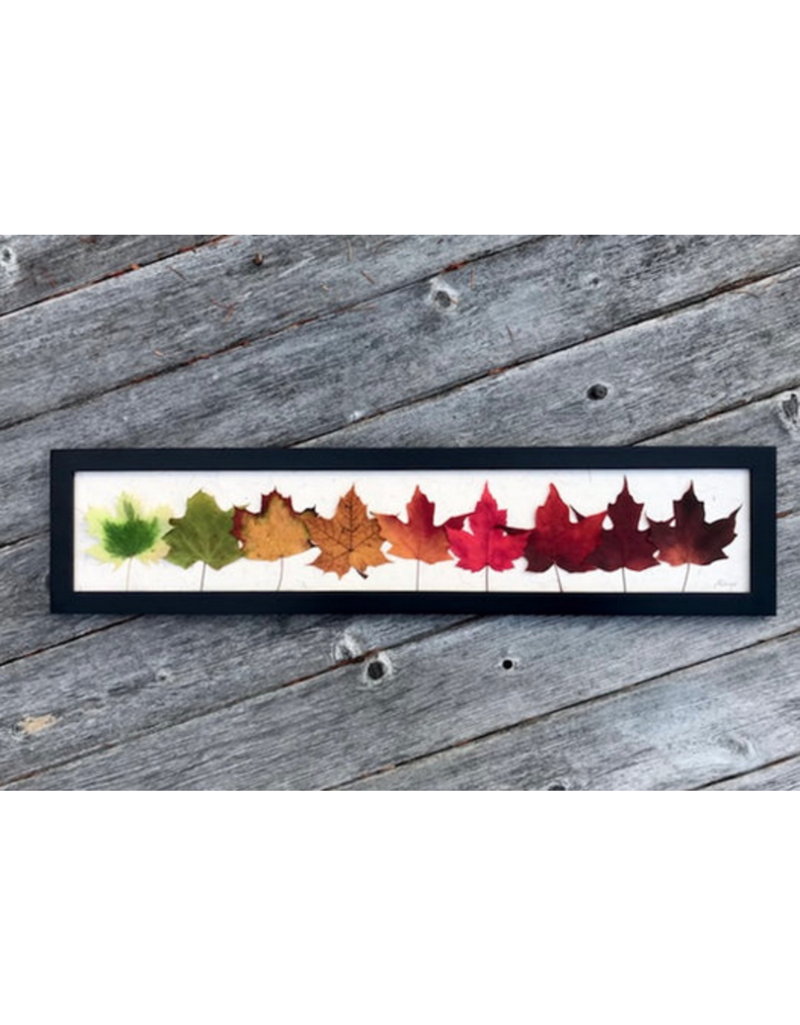 Rainbow Maple Leaves Black Frame - 63203B
