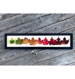 Rainbow Maple Leaves - Black Frame
