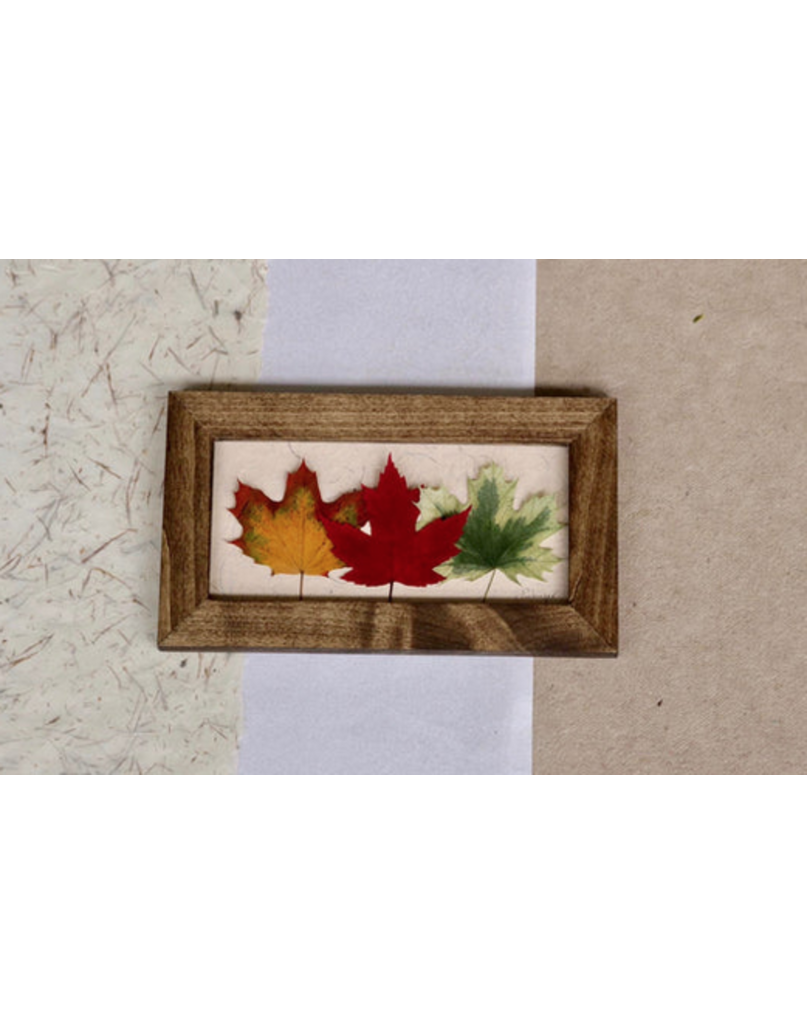 6x10 3 Maple Leaves Walnut Frame - 61002W