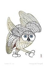 Summer Owl, 1972 by Kananginak Pootoogook Card