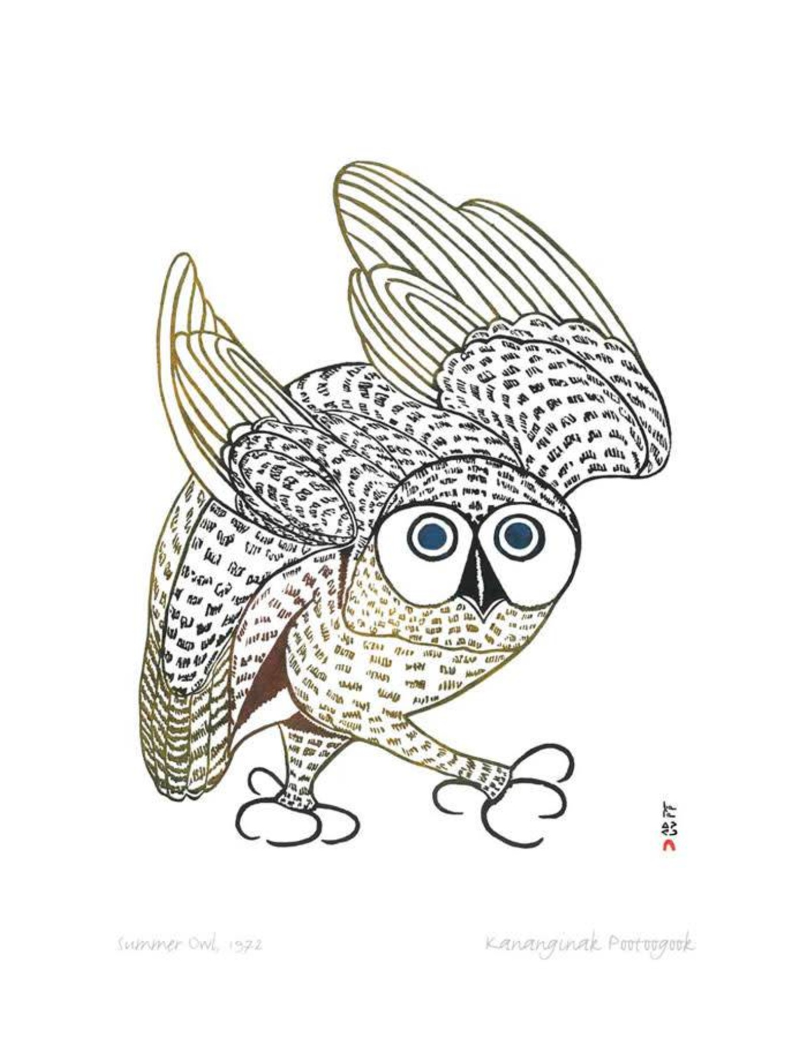 Summer Owl, 1972 by Kananginak Pootoogook Card