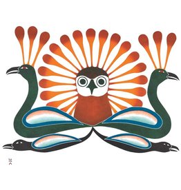 Sunburst Owl, 2002 par Kenojuak Ashevak Encadrée