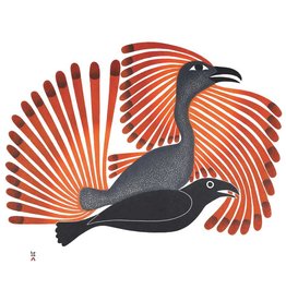 Intruding Raven, 2001 par Kenojuak Ashevak Encadrée