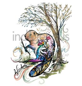 Wisdom par Carla Joseph Carte