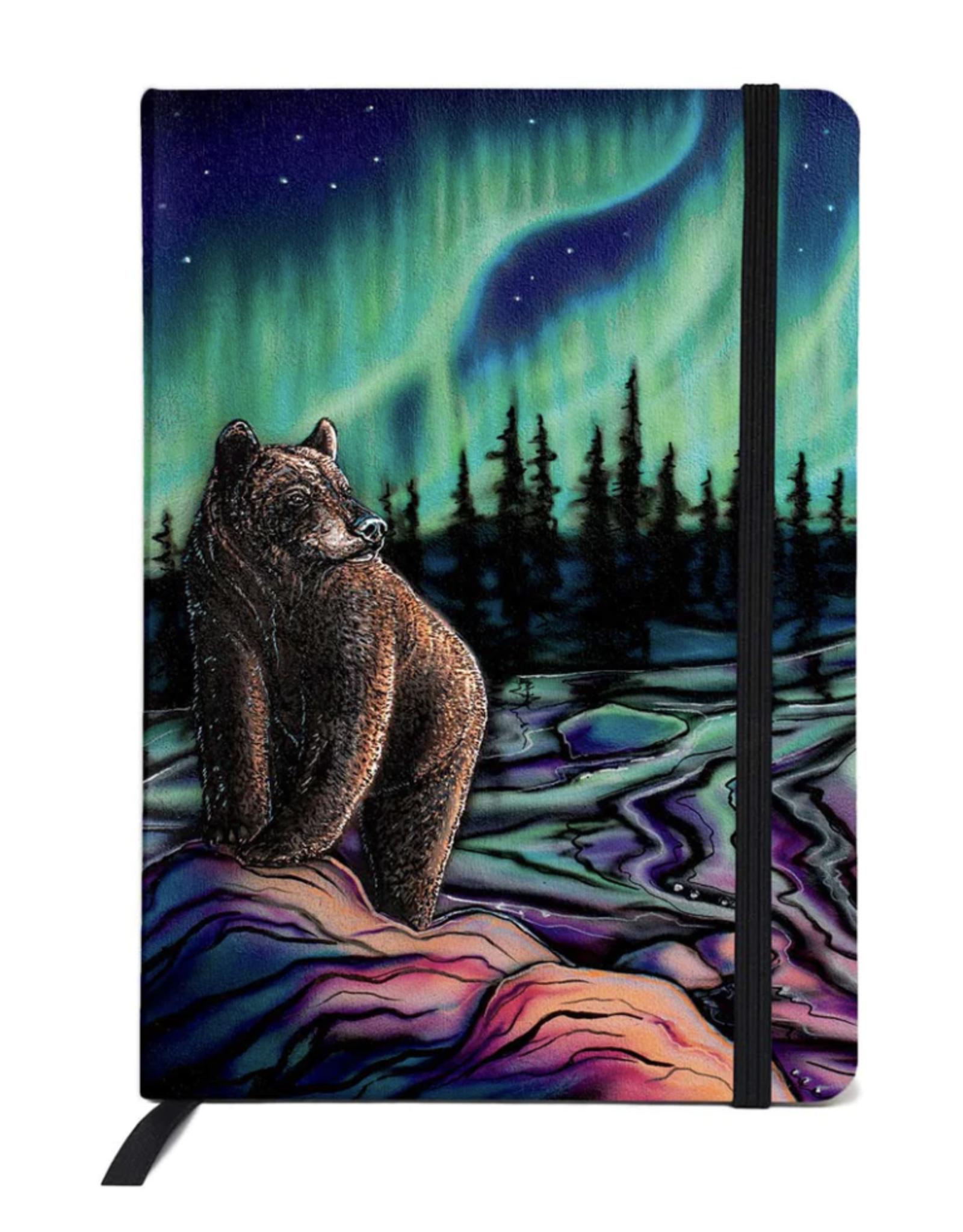 Journal Sky Dance Northern Light par Amy Keller-Rempp