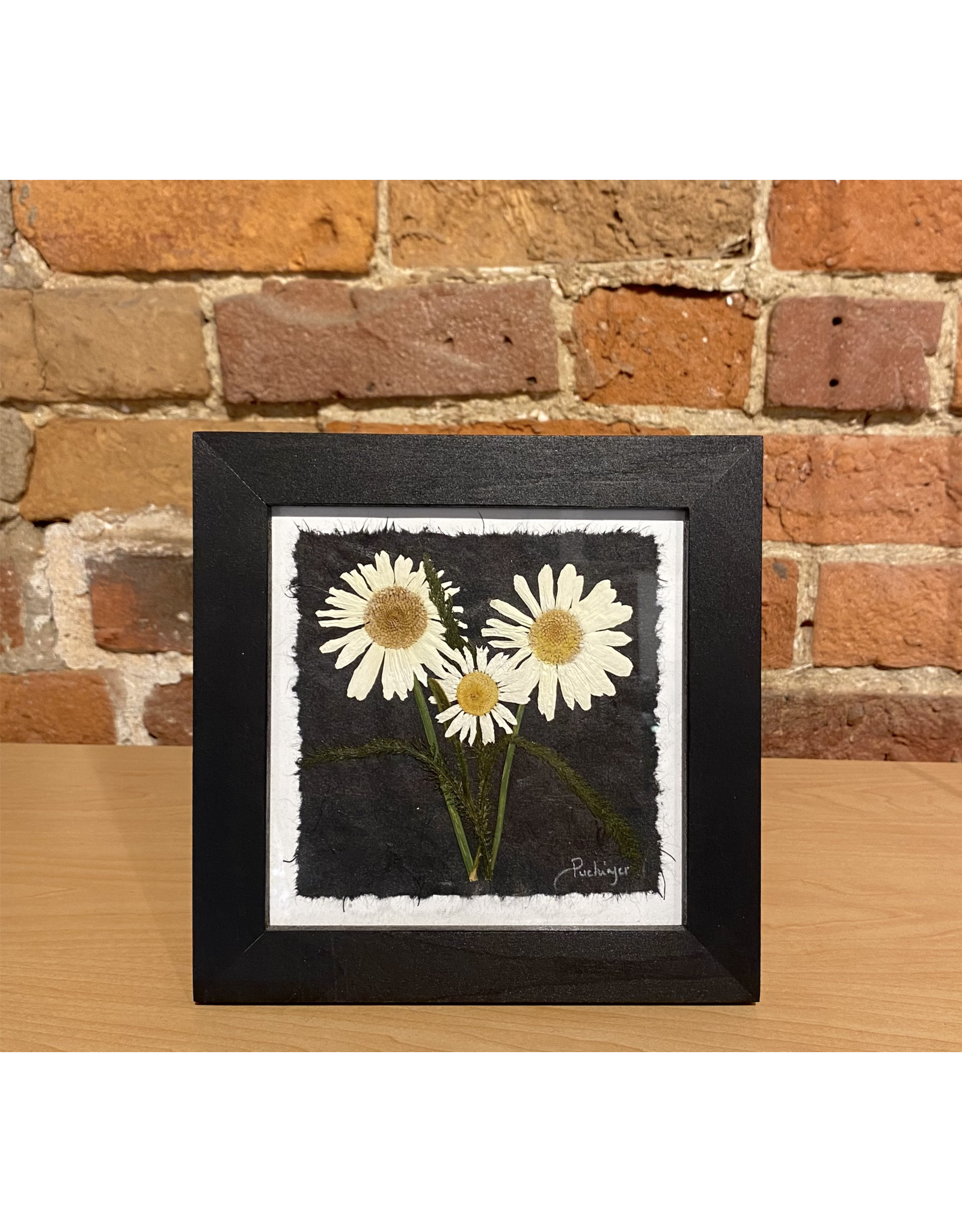 Assorted Flowers Black Frame - 8814B