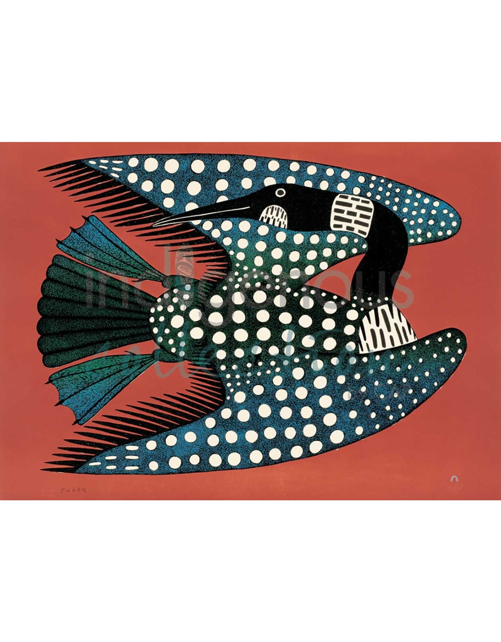 Spotted Loon par Kenojuak Ashevak Montée sur Passe-Partout