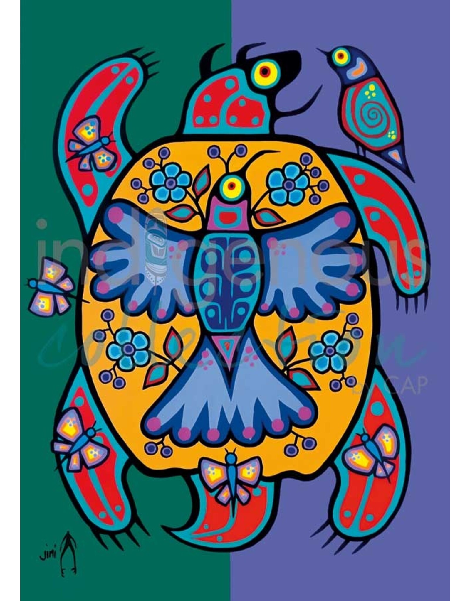 Grande Toile Spring Turtle par Jim Oskineegish