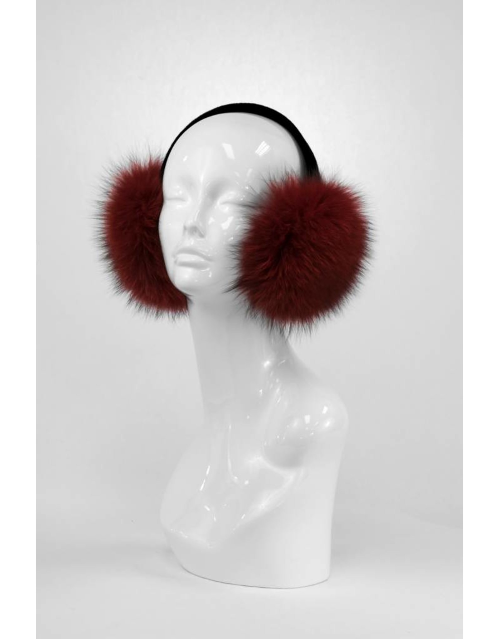 Cache-Oreilles Renard