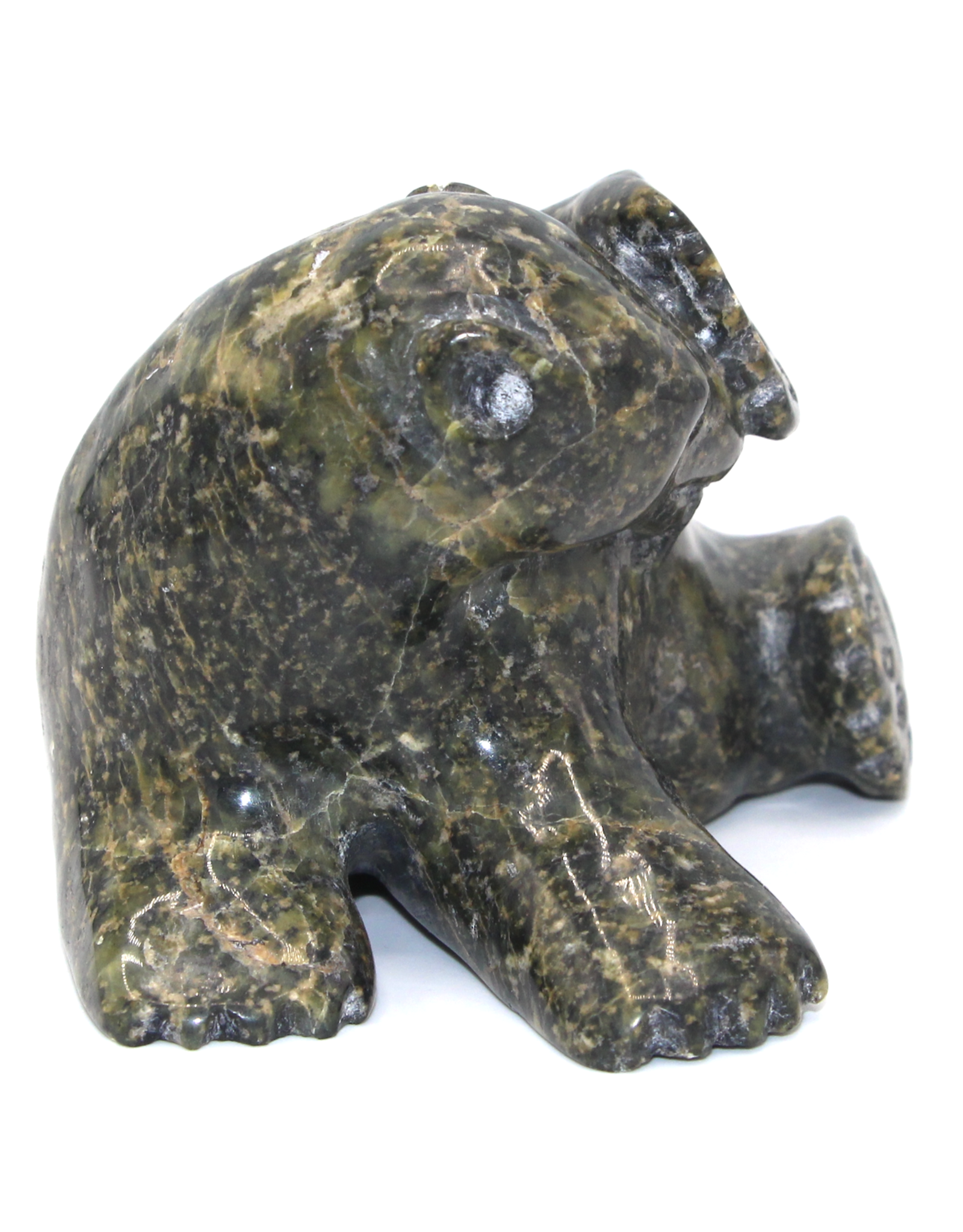 1003 Bear by Kelly Etidloie