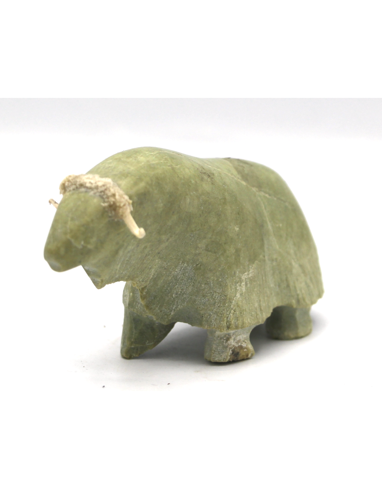 836022565 Musk-ox par Willie Kolola