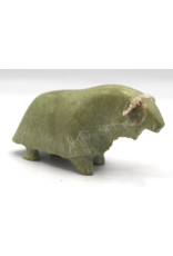 836022565 Musk-ox par Willie Kolola
