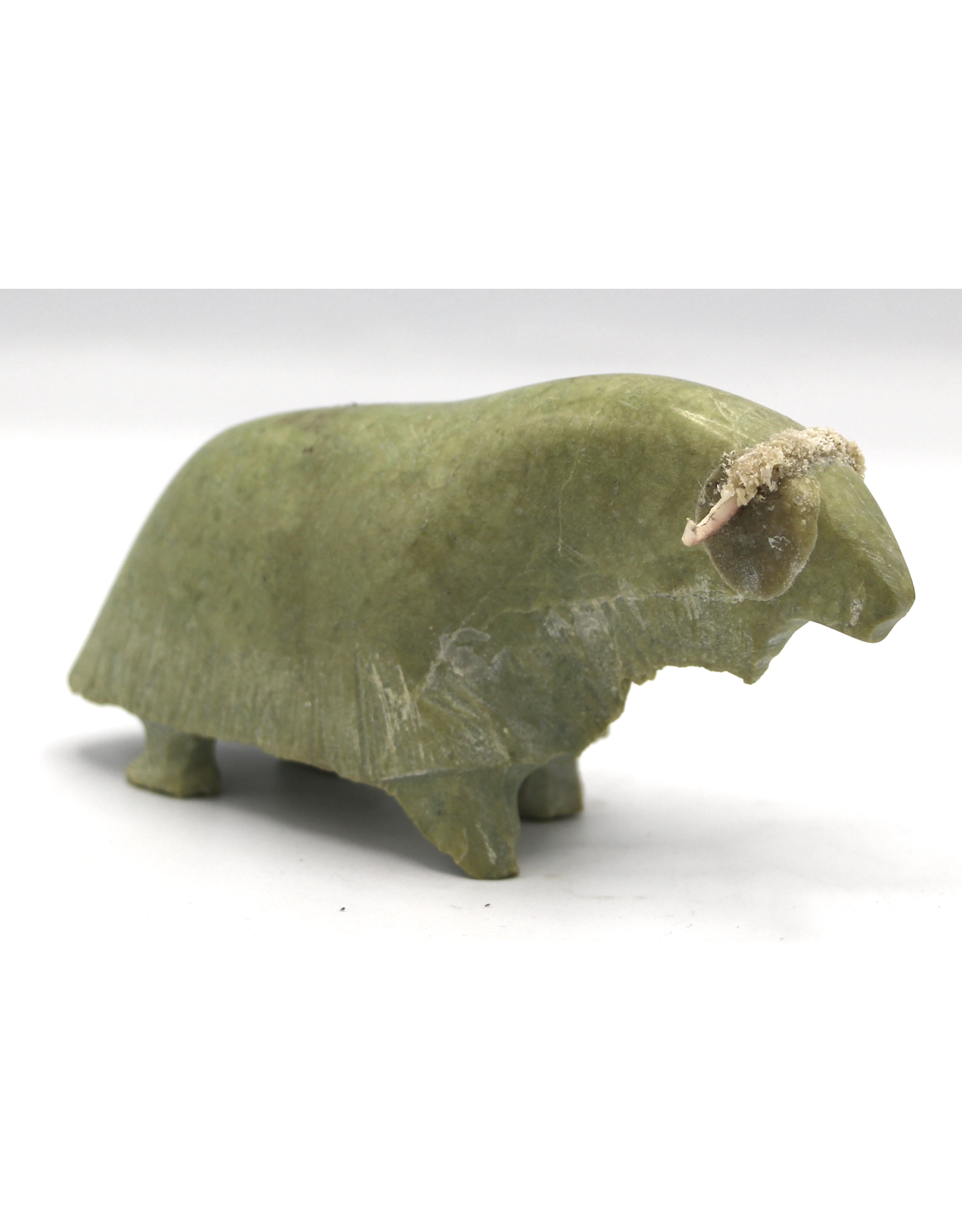 836022565 Musk-ox par Willie Kolola