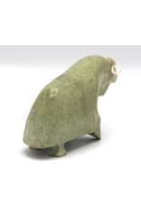 836022565 Musk-ox par Willie Kolola
