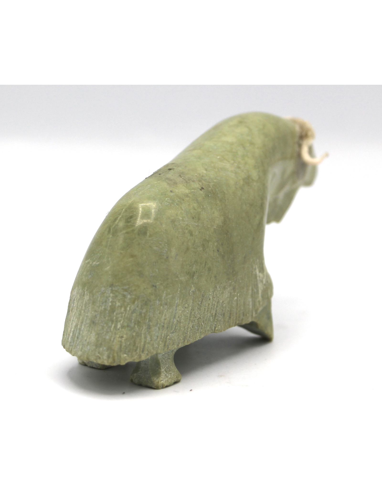 836022565 Musk-ox by Willie Kolola