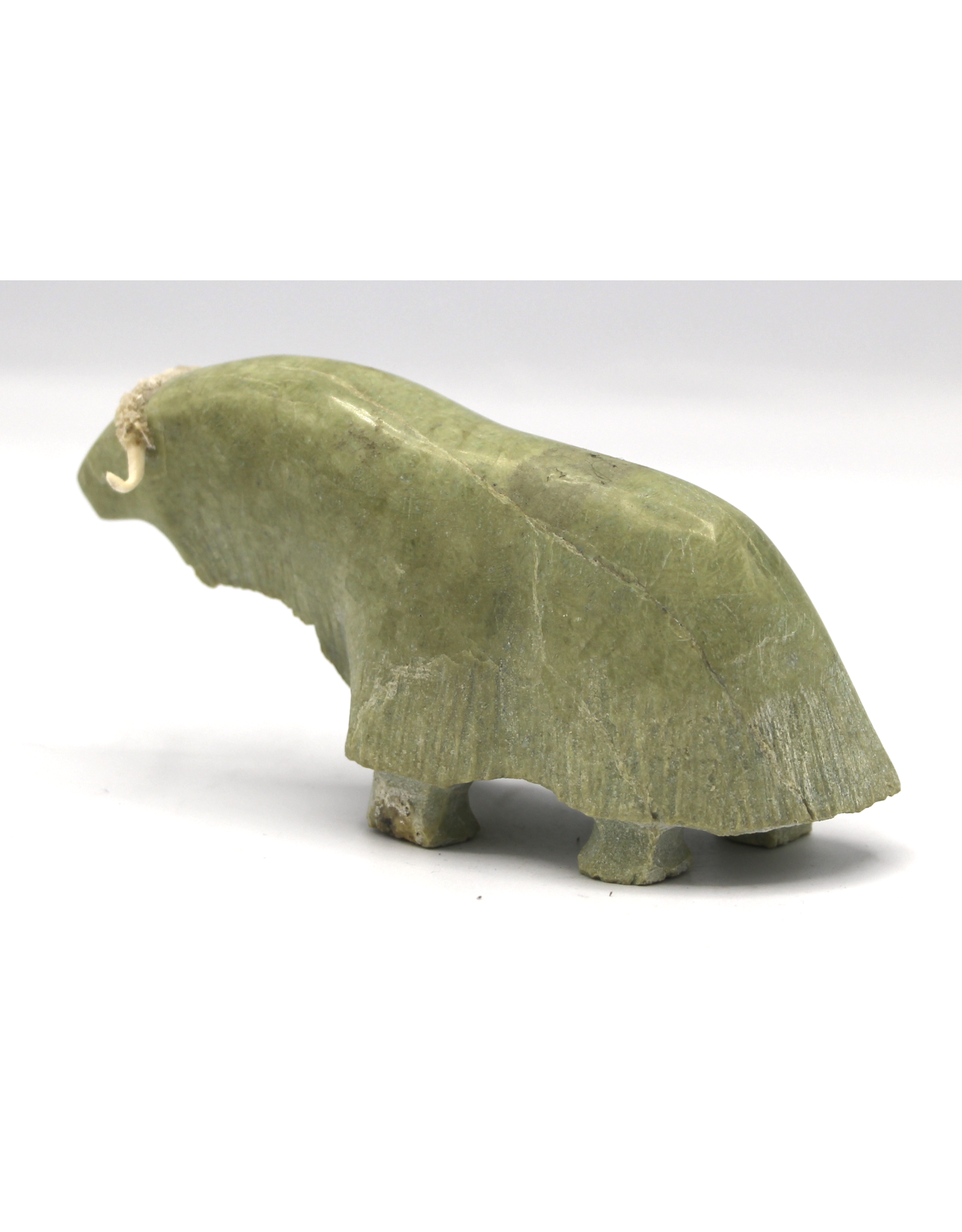 836022565 Musk-ox par Willie Kolola