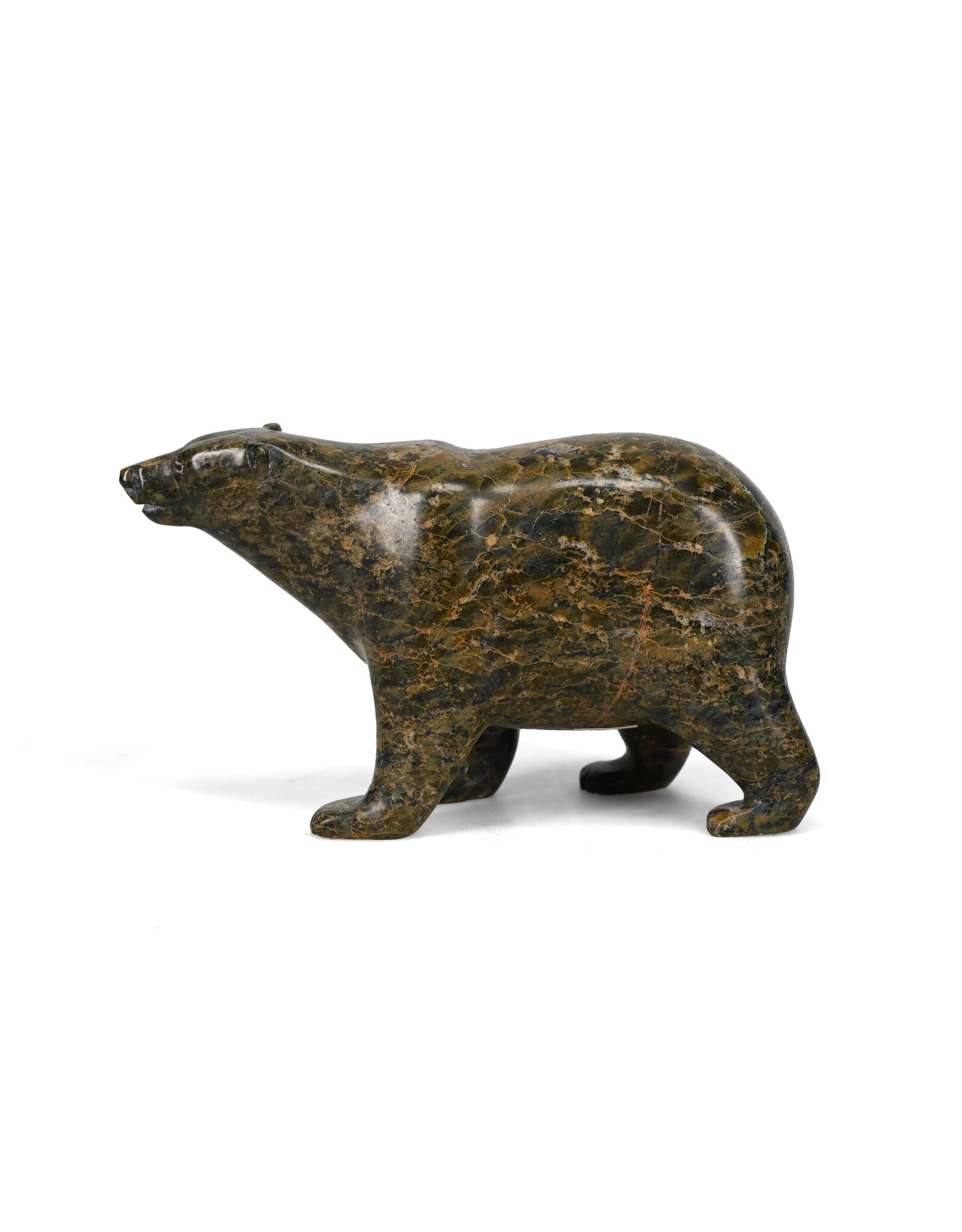 59976 Bear by Tim Pee