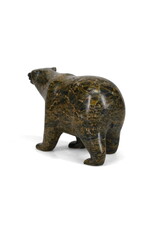 59976 Bear by Tim Pee