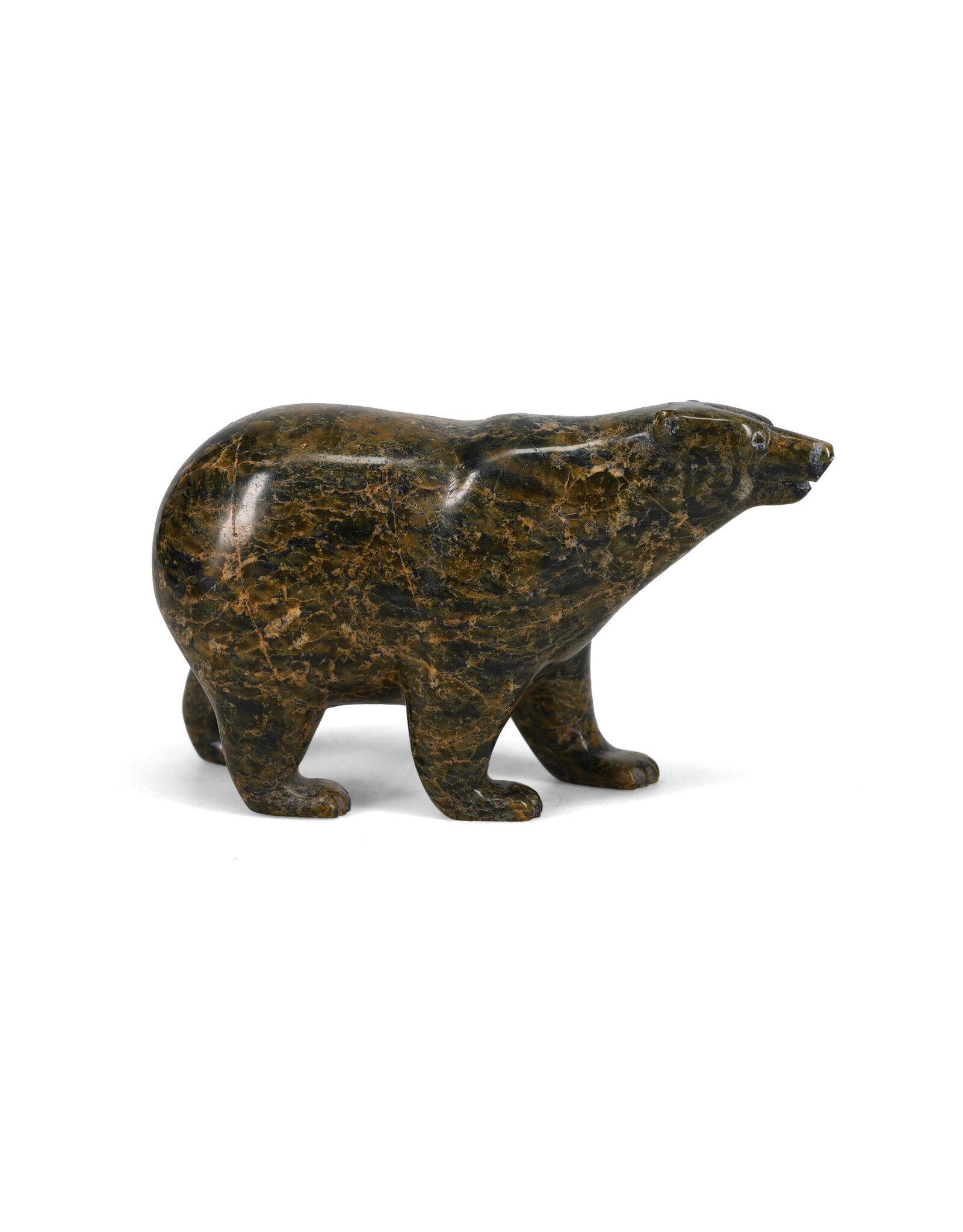 59976 Bear by Tim Pee