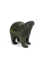 18951 Bear by Tim Pee