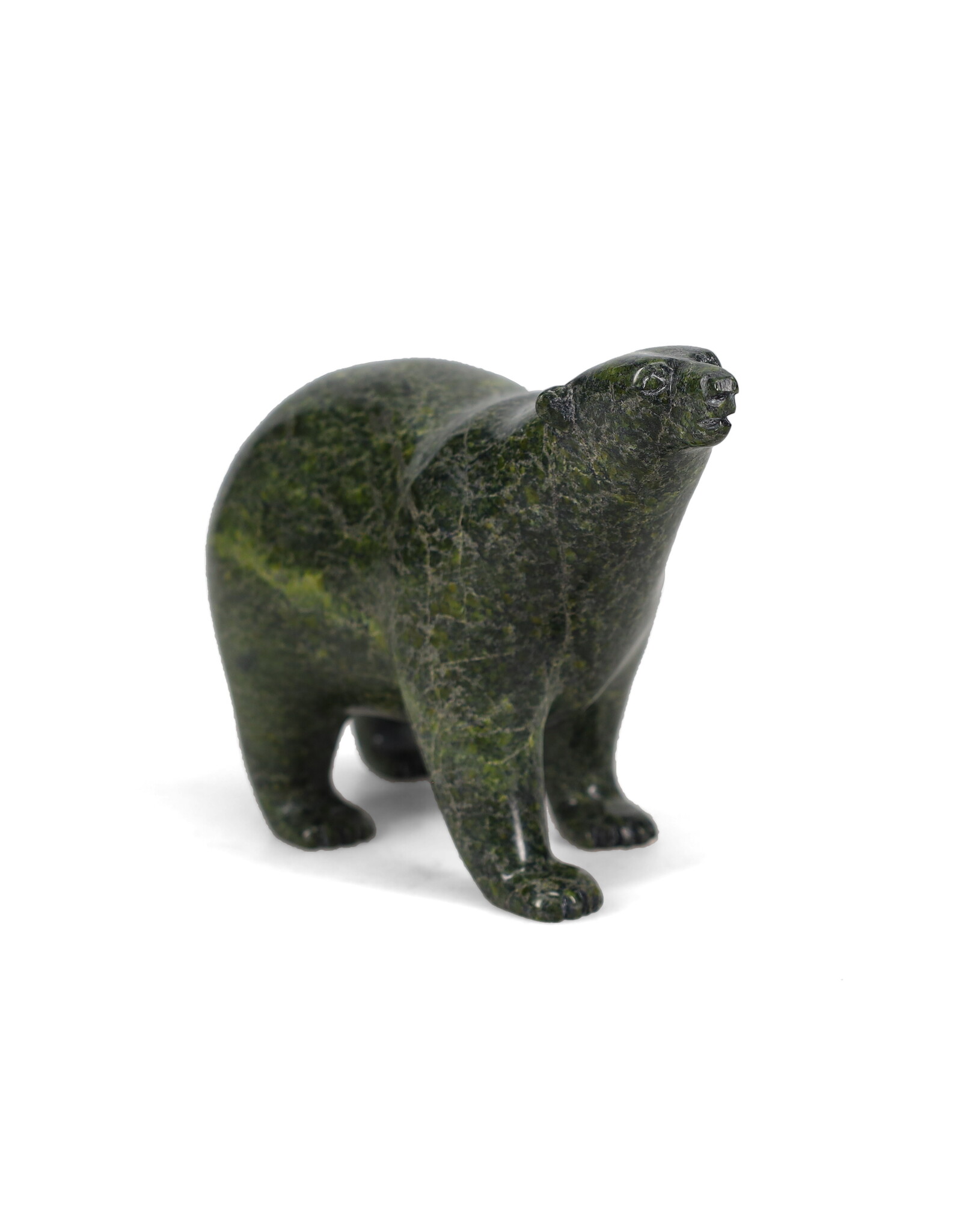 18951 Bear by Tim Pee
