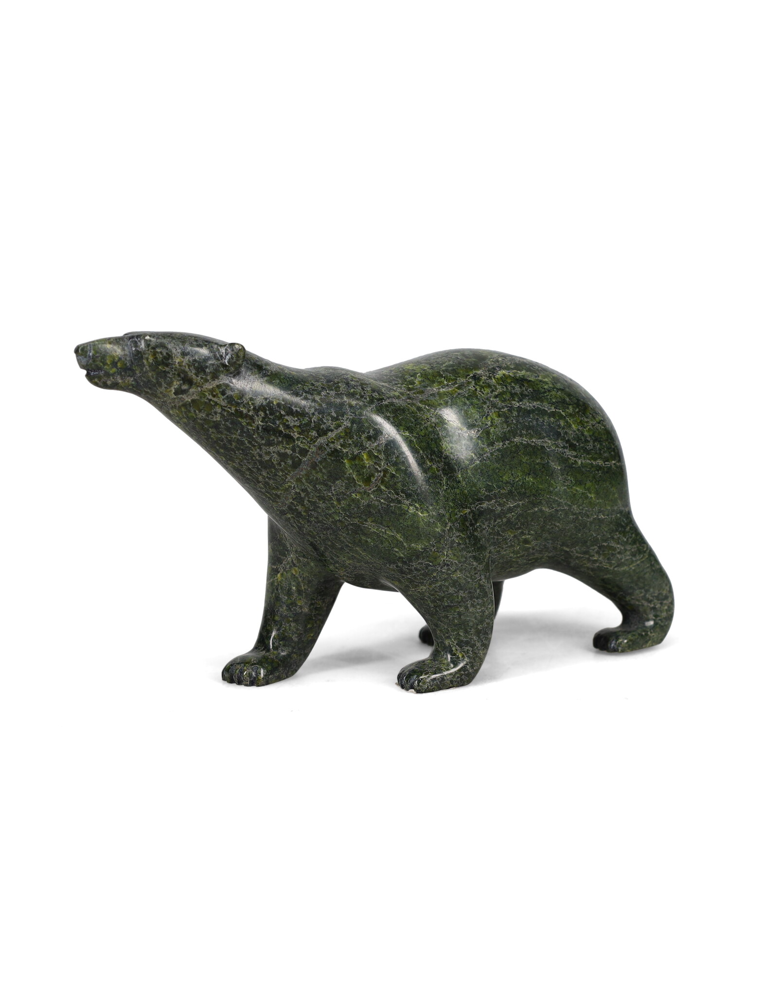 18951 Bear by Tim Pee