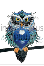 Night Watcher by Jessica Somers Framed