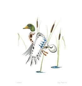Mallard by Ray Baptiste Framed