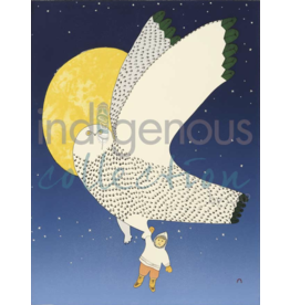 The Owl and The Boy par Ningiukulu Teevee Encadré