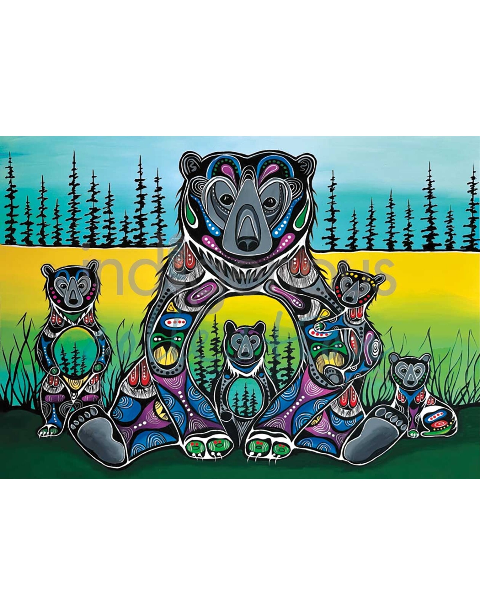 Bear Medicine by Jessica Somers Matted