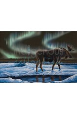 Ahaa (He Is Walking)  by Ronnie Simon Matted