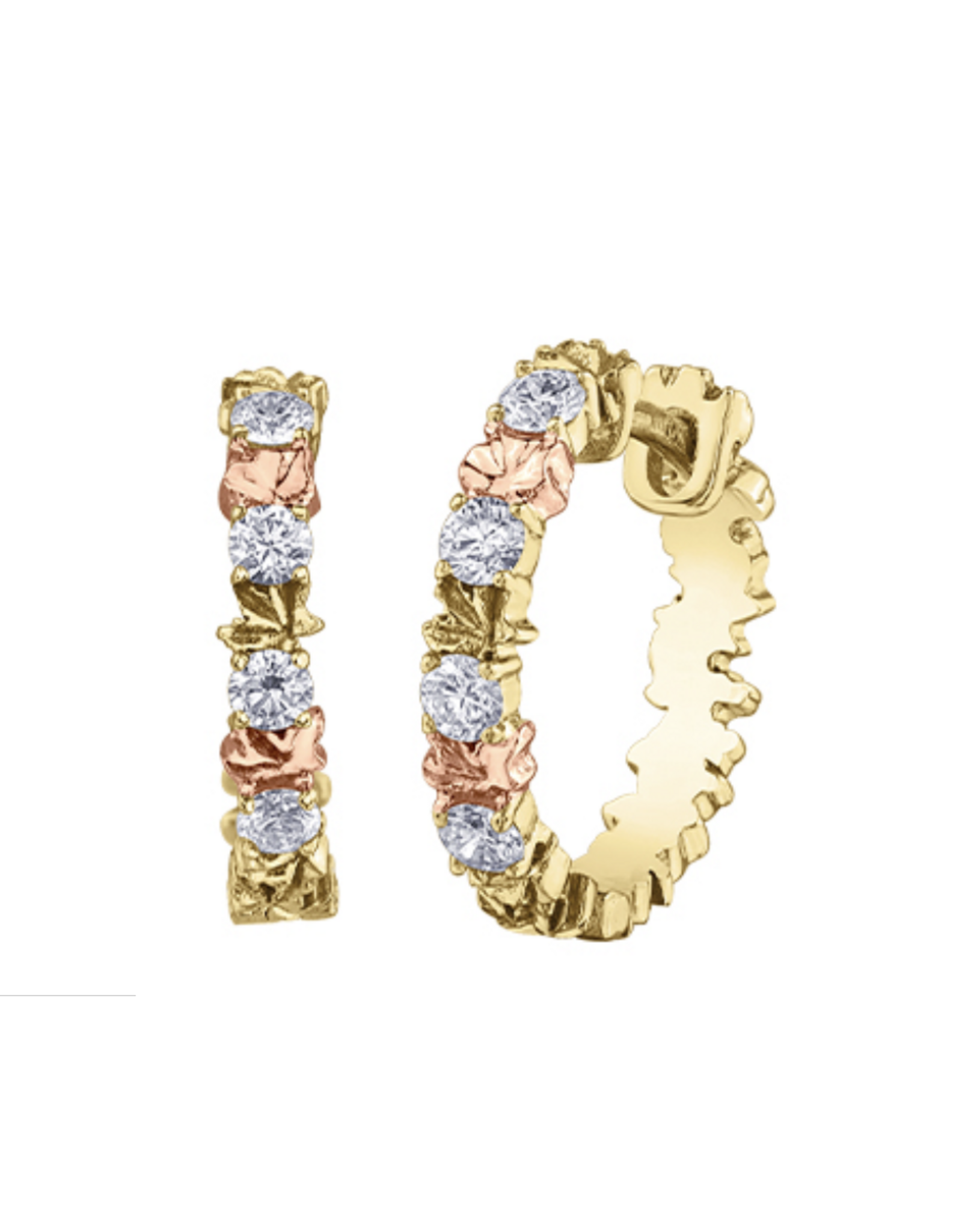 Anneaux 2 tons Feuille d'Érable - E4319YR