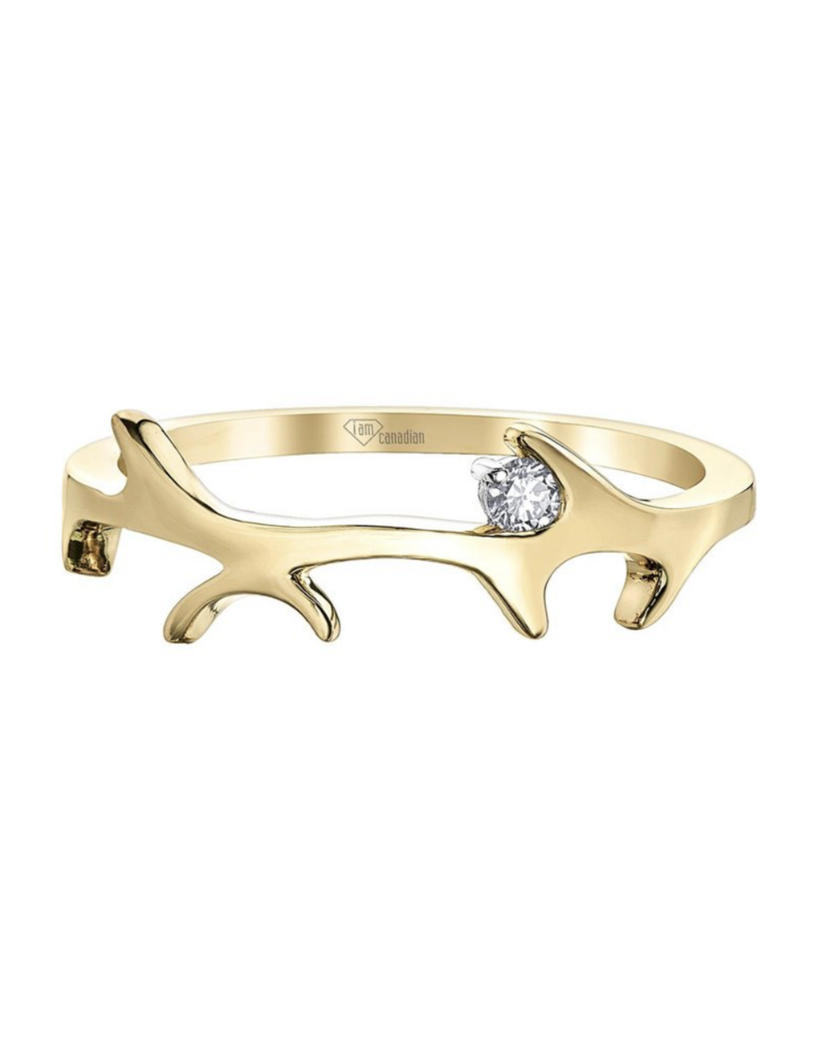 Bague Bois de Caribou Or Jaune - CH746