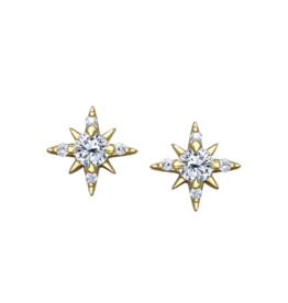 Yellow Gold Star Earrings